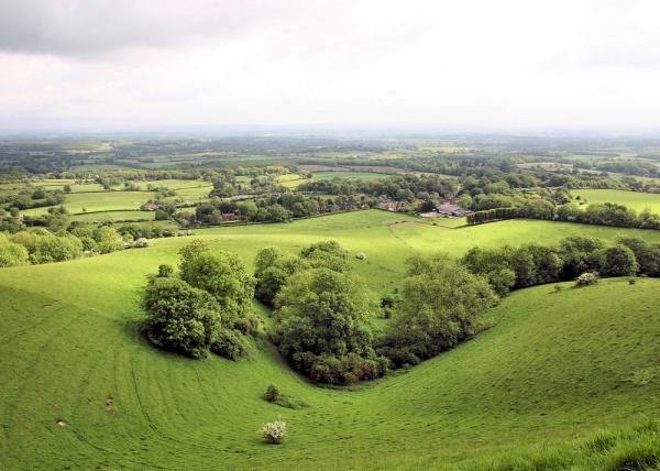 South Downs