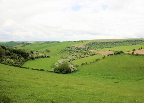 South Downs