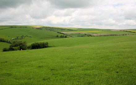 South Downs