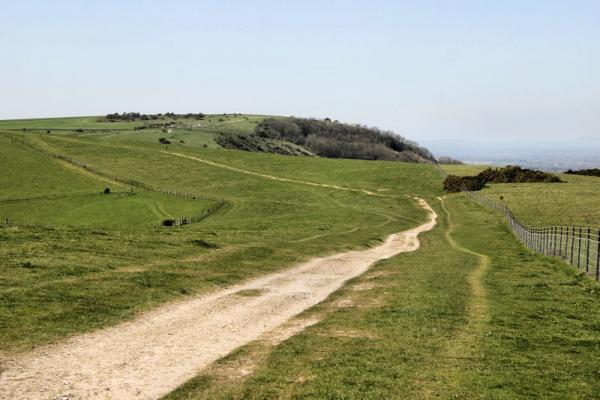 The South Downs near Ditchling Beacon